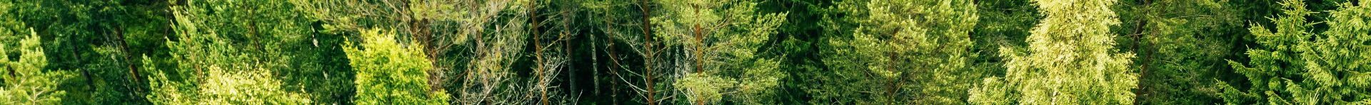 Low Carbon Recruitment Footer Banner